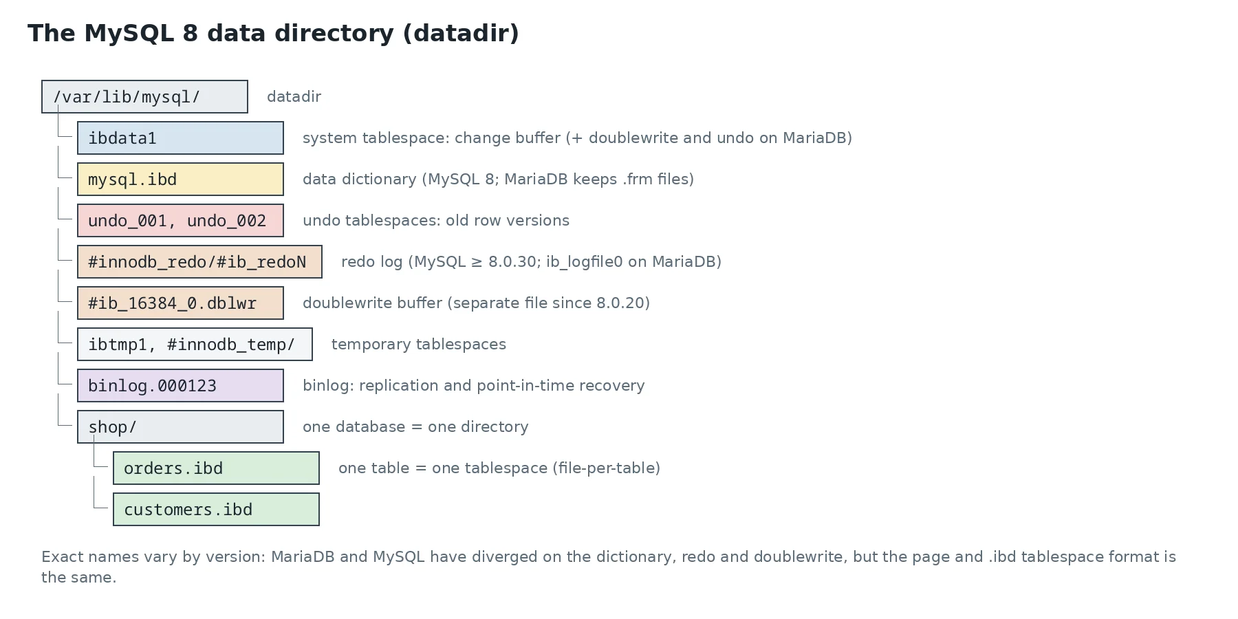 MySQL 8 datadir tree