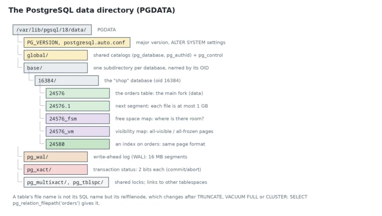 Diagram: the PostgreSQL data directory (PGDATA)