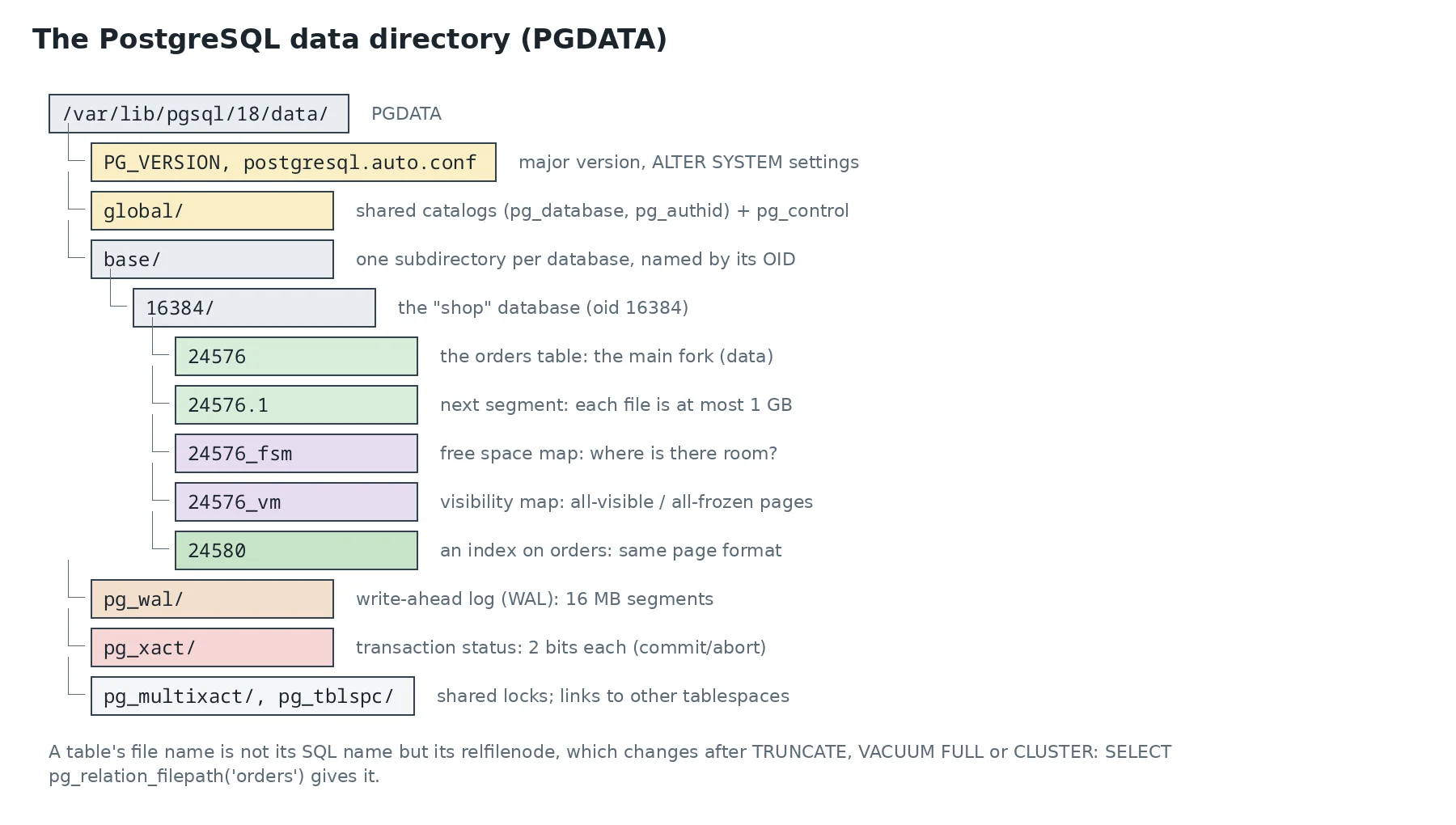 Diagram: the PostgreSQL data directory (PGDATA)
